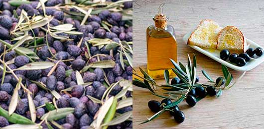 WHAT IS EXTRA VIRGIN OLIVE OIL? (EVOO) AND TYPES OF EVOO - 4