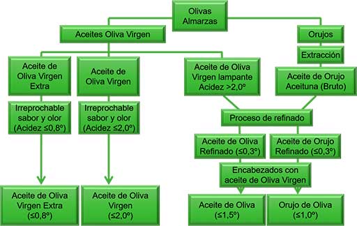 OLIVE OIL CLASSIFICATION - 2