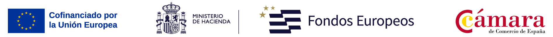 Nueva ayuda programa Pyme Digital de la Cámara de Comercio de Córdoba