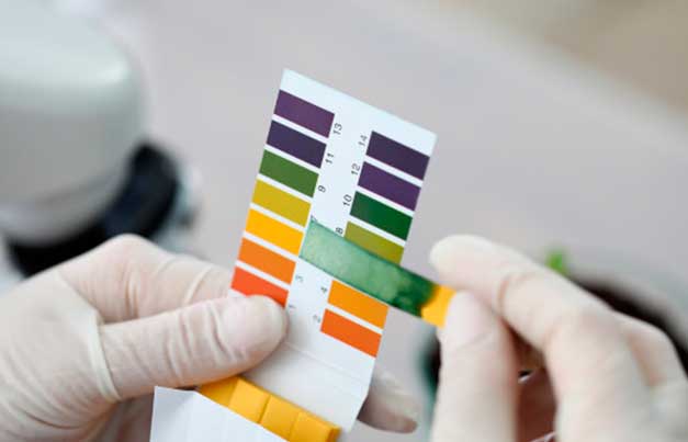 Muestras de pH en laboratorio