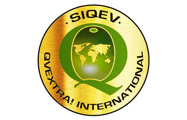 Logo de SIQEV