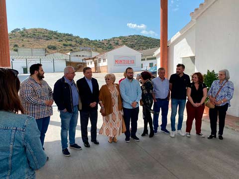 Ministro de Agricultura Luis Planas