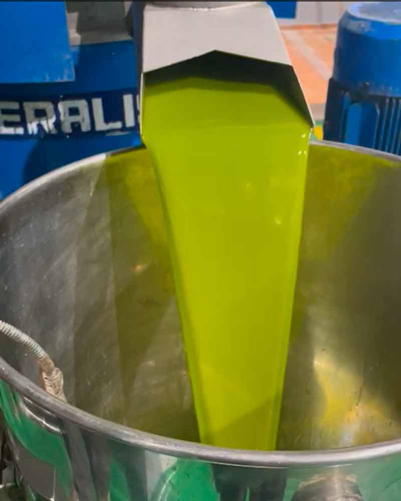 campaña oleícola 23/24