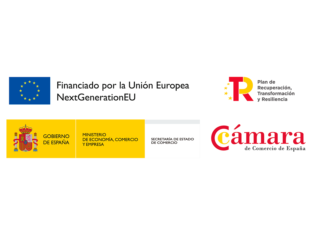 Nueva ayuda Mentoring y Apoyo a la Internacionalización