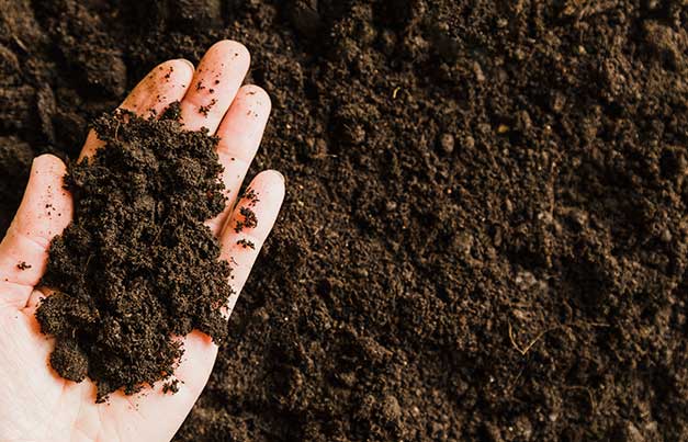 Mano recogiendo muestra de tierra