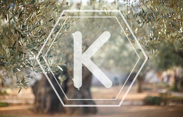 Elemento tabla periódica para el Potasio con olivar de fondo